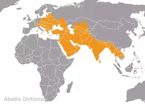 شغال طلایی